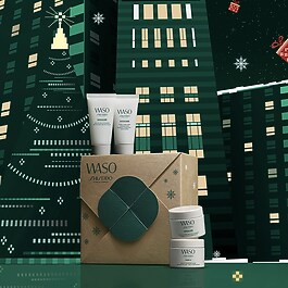 WASO Holiday Essentials Kit