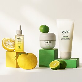 WASO Holiday Essentials Kit