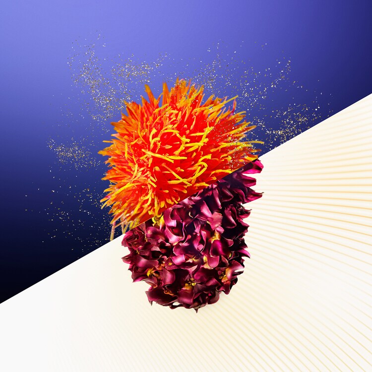 Vital Perfection Concentrated Supreme Cream - Creme anti-envelhecimento