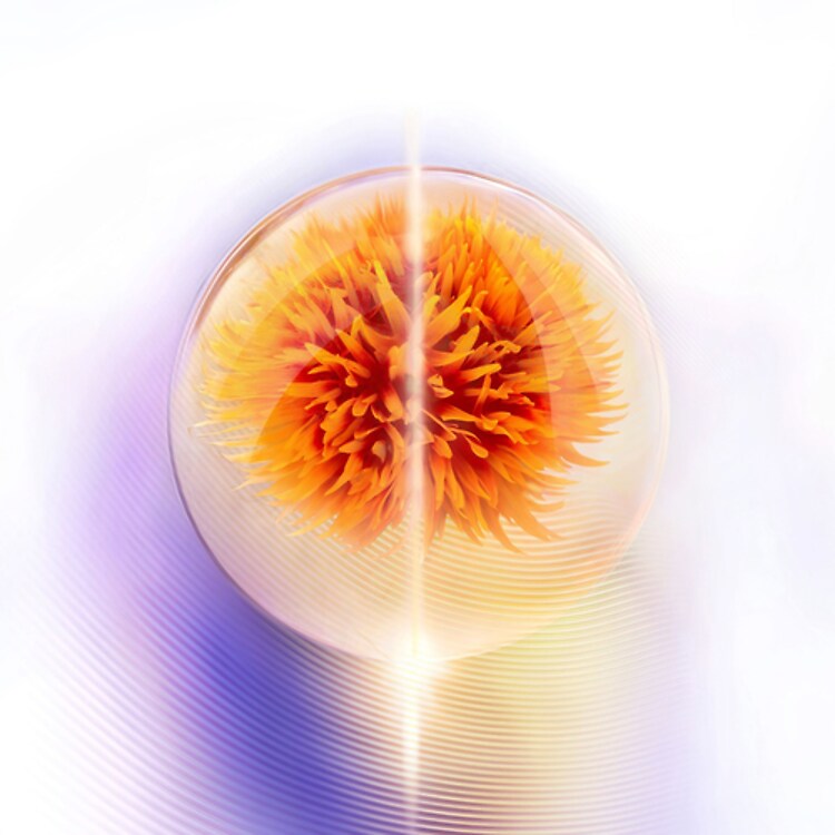 Vital Perfection - Soin Nuit Intensif Fermeté Recharge