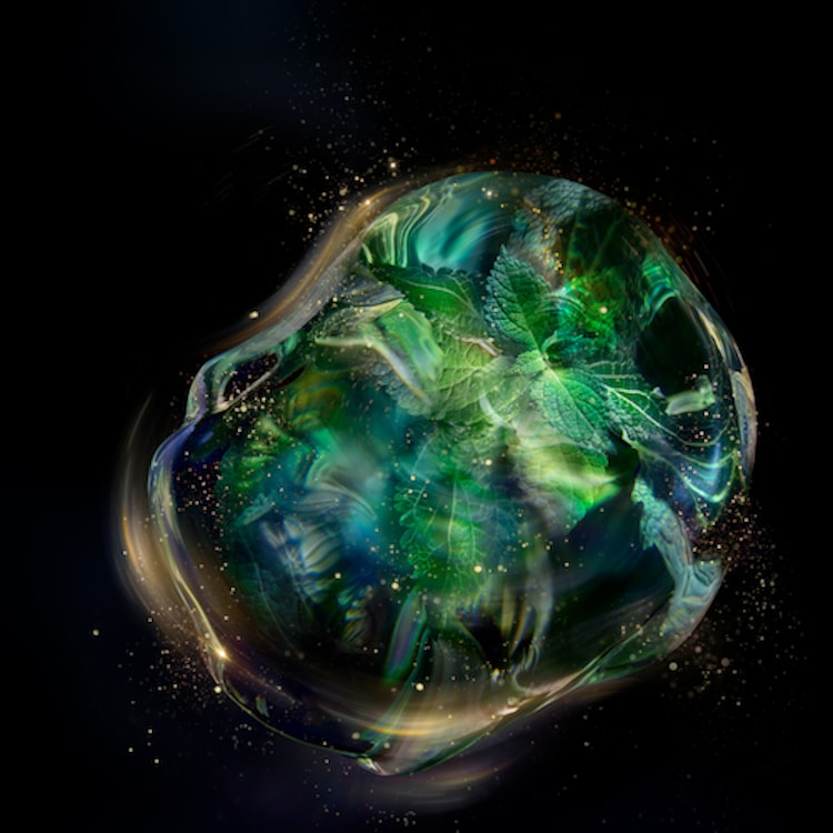 Future Solution LX - Mousse Nettoyante Extra Riche