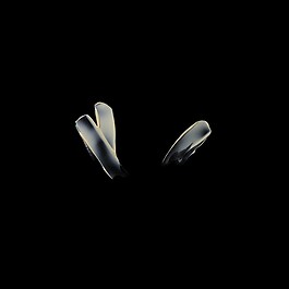 Essence Absolue - Baume universel 