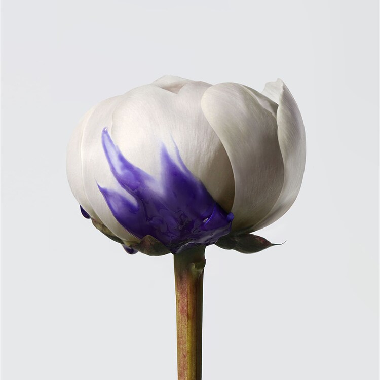 Yubi Blonde - Baume violet anti-faux reflets