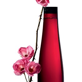 Color Lustre  Brilliant Glaze Shampoo - Champú para cabellos teñidos