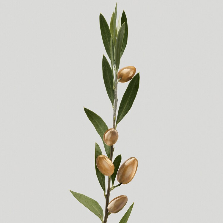 Silk Bloom Conditioner - Acondicionador nutritivo para cabellos frágiles