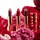Le Phyto Rouge Limited Edition