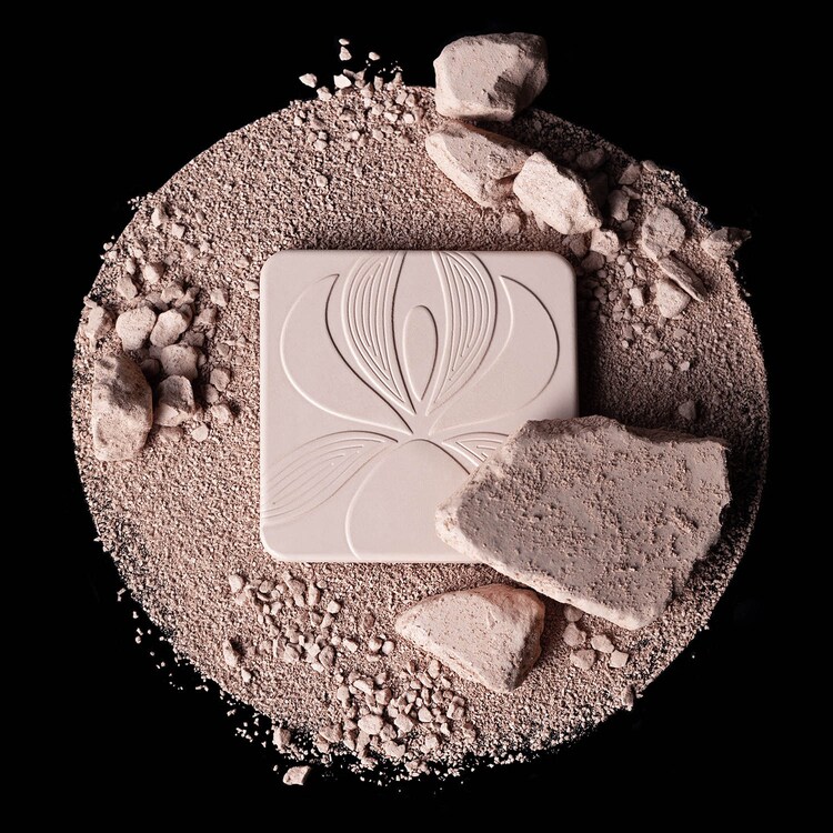 BLUR EXPERT - Polvos matificantes