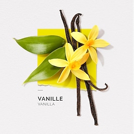 Vanille - Eau de parfum
