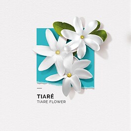 Tiaré - Eau de parfum