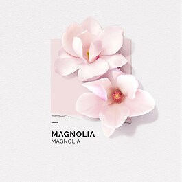 Magnolia - Eau de parfum