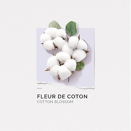 Fleur de Coton - Eau de Parfum
