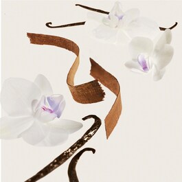 Delicia Drench™ Jet Set - Rituel Corps Nourrissant