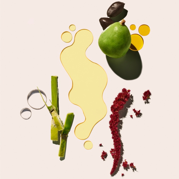 Beija Flor™ Elasti-Body Oil - Huile pour le corps repulpante