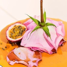 Rosa Charmosa™ Dewy Cream - Lystergivande kroppskräm