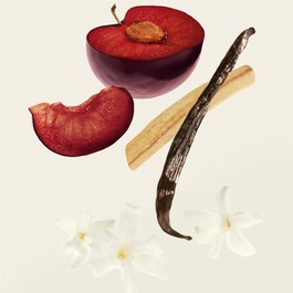 Bom Dia Bright™ Jet Set - Coffret soin du corps