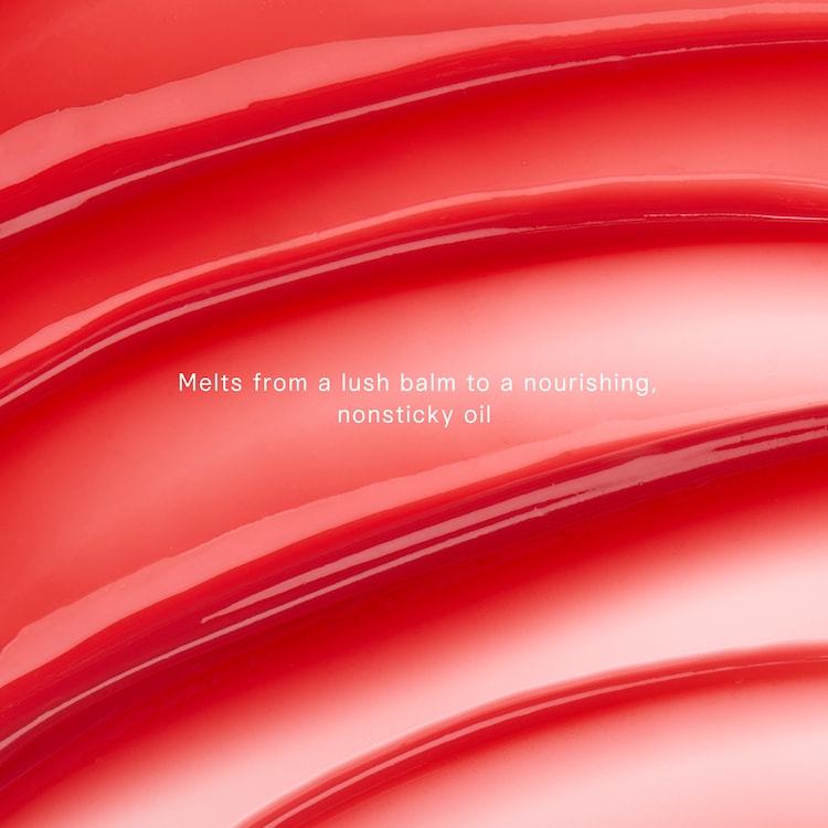 The Melting Lip Balm - Bálsamo labial nutritivo