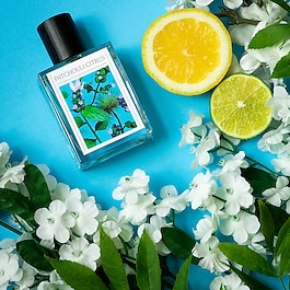 Patchouli Citrus - Eau de Parfum