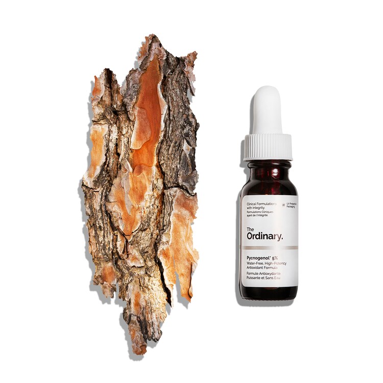 Pycnogenol* 5% - Antioksidan Serum