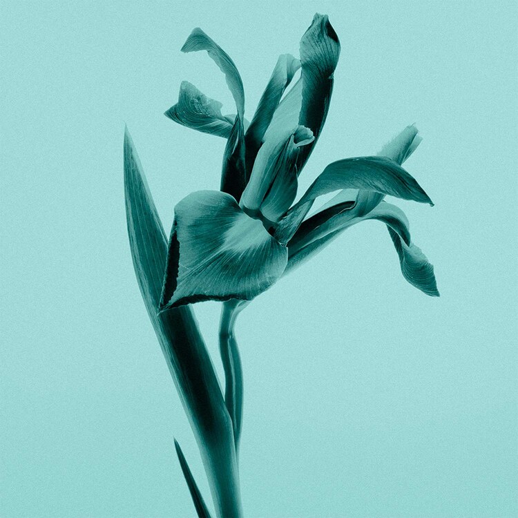 Tiffany&Co - Parfémová voda