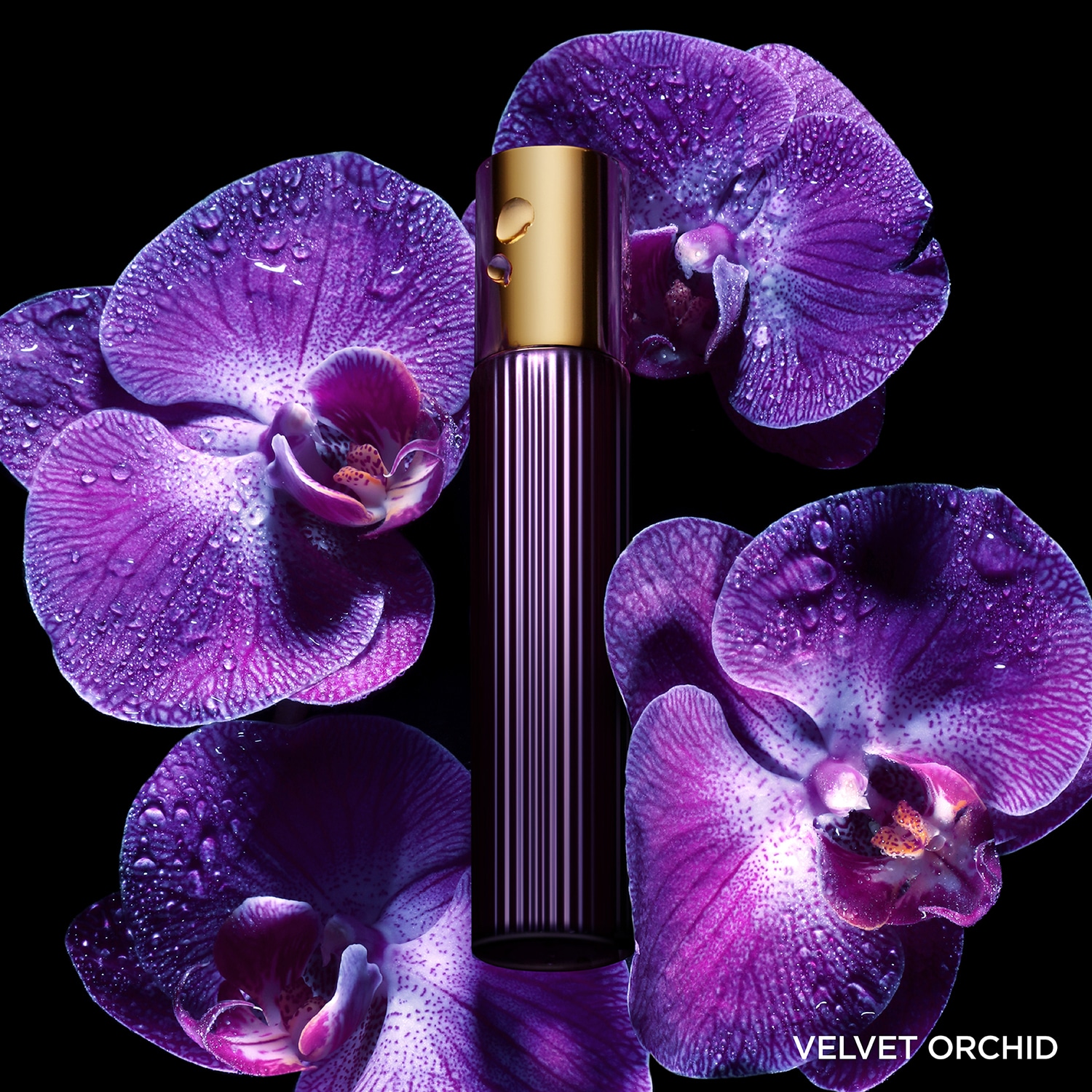 TOM FORD Velvet Orchid - Woda perfumowana (50 ml, 100 ml