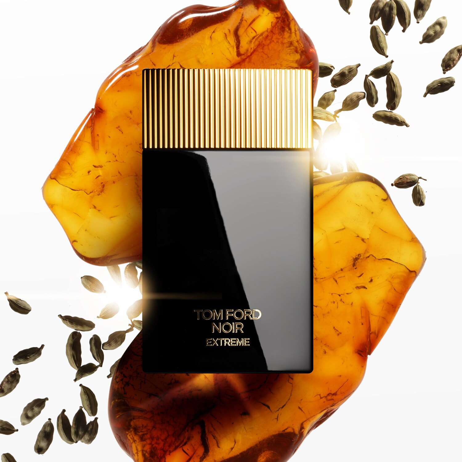 Tom Ford Noir Extreme Eau de Parfum | TOM FORD Parfum