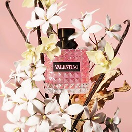 Donna Born in Roma - Eau de Parfum