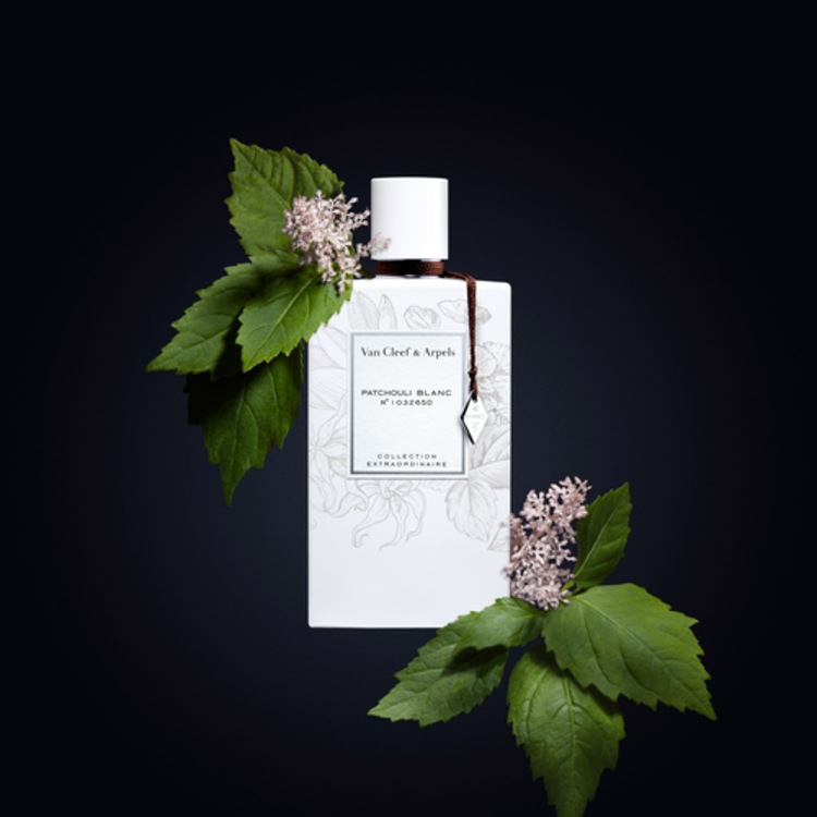 Collection Extraordinaire Patchouli Blanc - Eau de Parfum