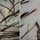 Scalp Remedy - Σαμπουάν Virtue®