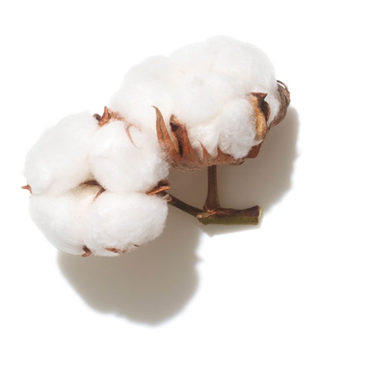 Volume Boost - Masque capillaire volumisant léger