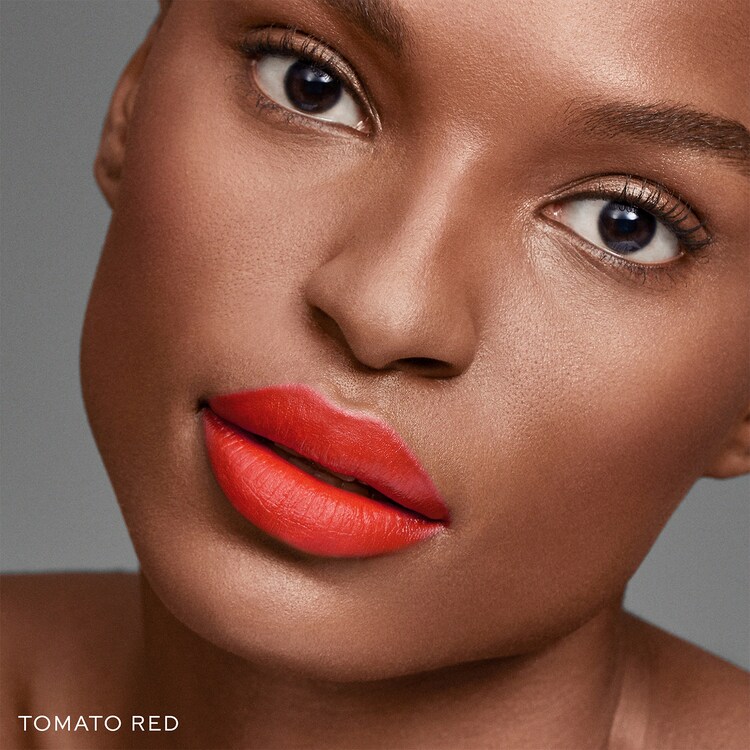 Lip Suede - Palette Pour Les Lèvres