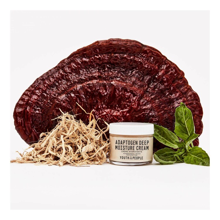 Adaptogen Deep Moisture Cream - Crema Idratante