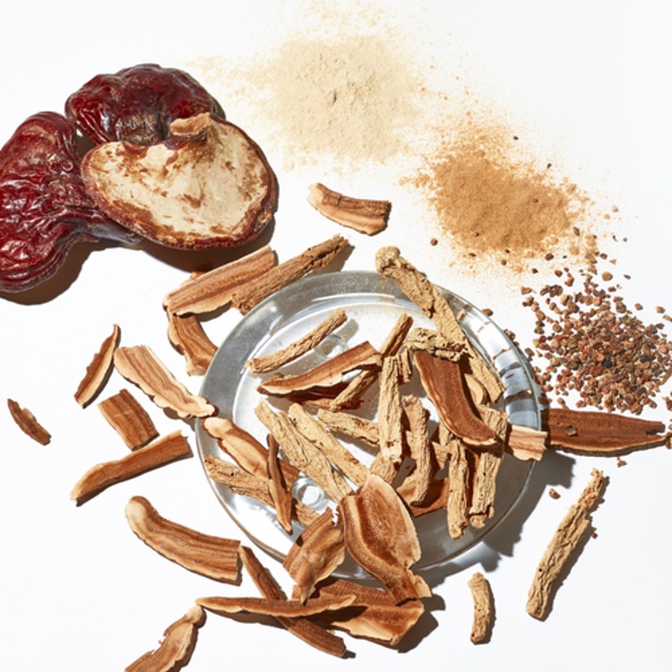 Adaptogen Soothe + Hydrate Activated Mist  - Brume Visage Apaisante