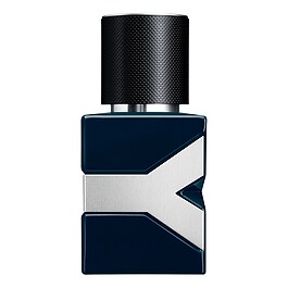 Y  - Parfum fougère ambré pour homme 