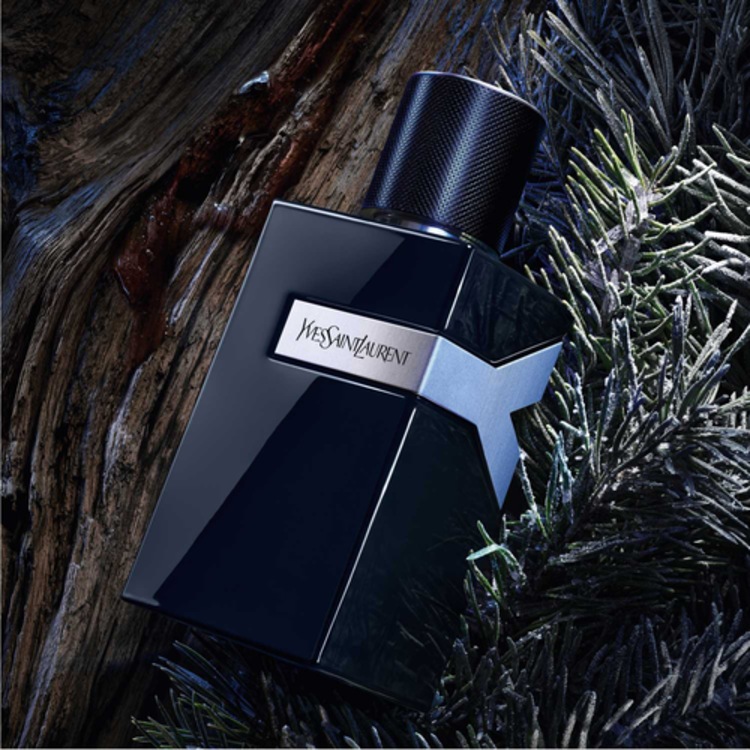 Y  - Parfum fougère ambré pour homme 