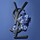 Y Eau de Parfum - Coffret cadeau homme