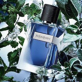 Y - Eau de Toilette Intense foug&egrave;re aromatique pour homme 