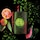 Black Opium Illicit Green - Eau de Parfum