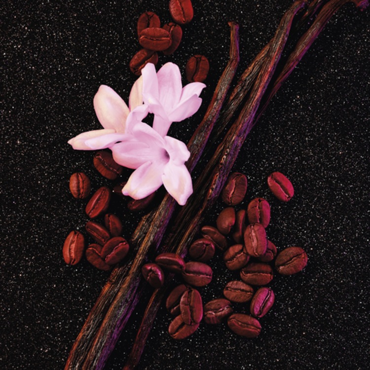 Black Opium - Eau de Parfum Vaporisateur