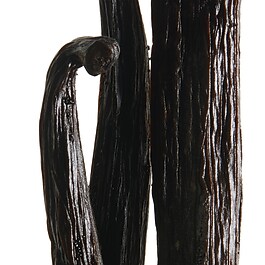 La Nuit de L'Homme Eau &Eacute;lectrique - Eau de Toilette