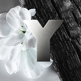 Y Eau de Toilette