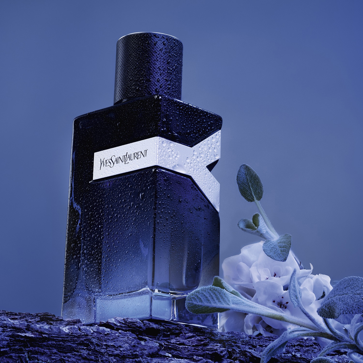 melody専用Yves Saint Laurent ✨Y EDP 60ml Yves Saint Laurent Y Woda Perfumowana 60 ml - Opinie i ceny