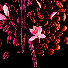Black Opium - Woda Perfumowana Roll-On (format podróżny)