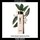 Pure Shots Lotion Essence Hydra Bounce - Lotion visage hydratation et confort