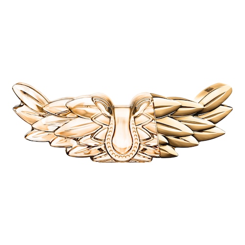 Découvrir le produit