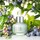 Skin Love - Glow Elixir