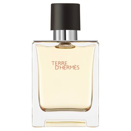 Terre d'Herm&egrave;s - Eau de Toilette zamjensko punjenje