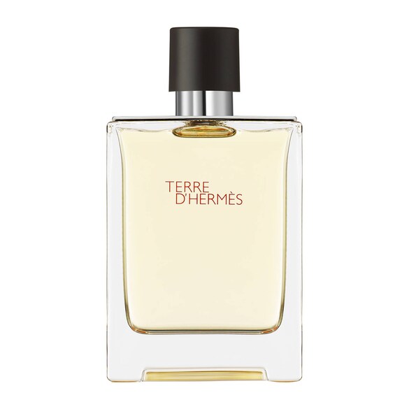 Terre D'hermes Eau De Toilette Spray Refill 125ml - Immagine 6