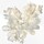 Twilly Eau Ginger - Eau de Parfum