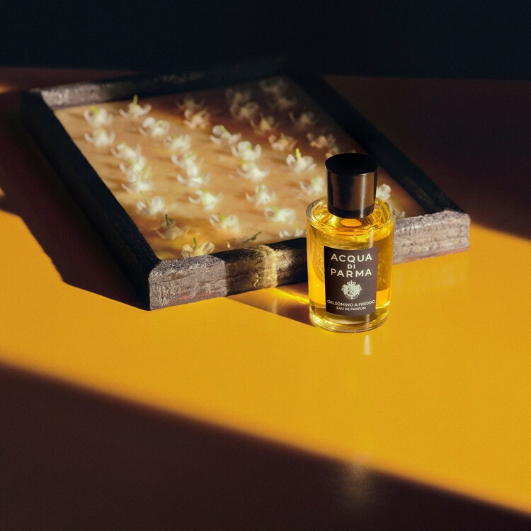 Gelsomino a Freddo - Eau de Parfum