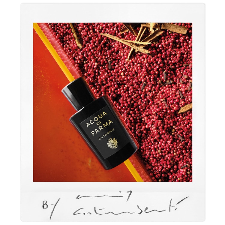 Signatures of the Sun Oud & Spice - Apă de parfum Woody Spicy